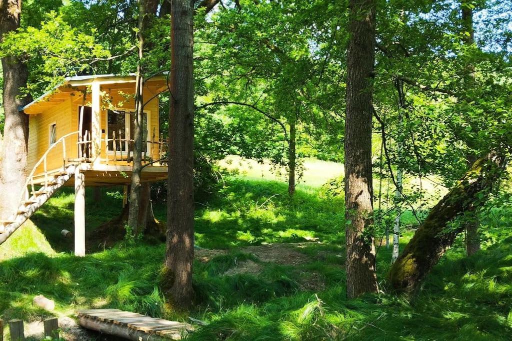 Treehouse Lea Apartamento Mikulášovice Exterior foto