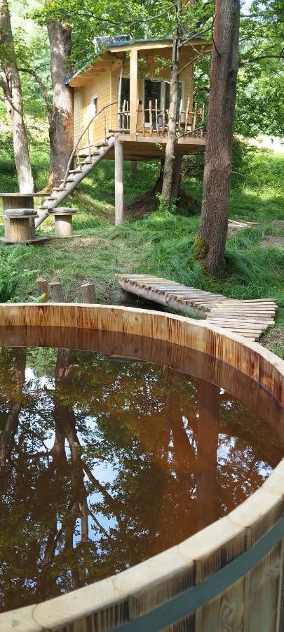 Treehouse Lea Apartamento Mikulášovice Exterior foto